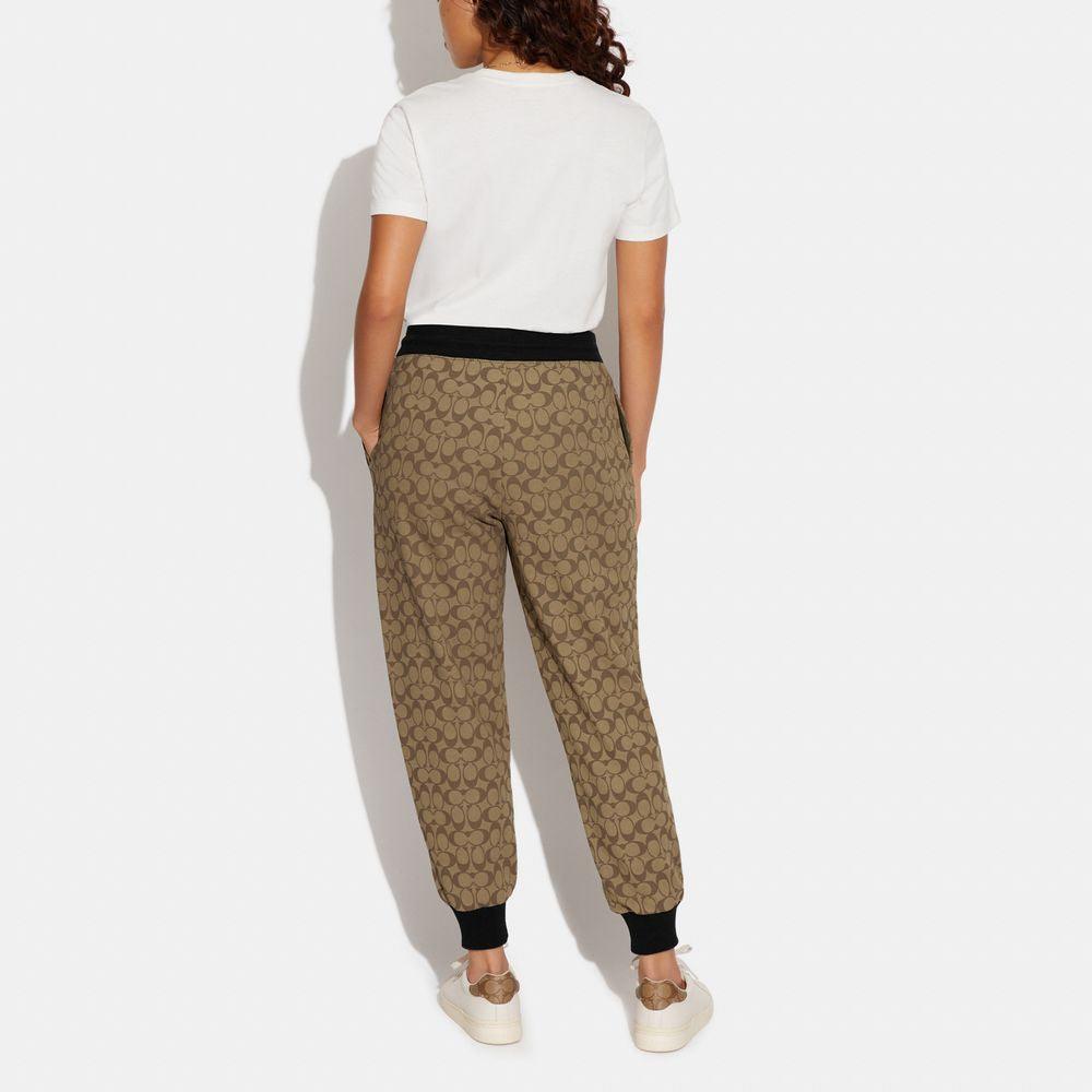 CB586-Signature Joggers-Khaki Multi