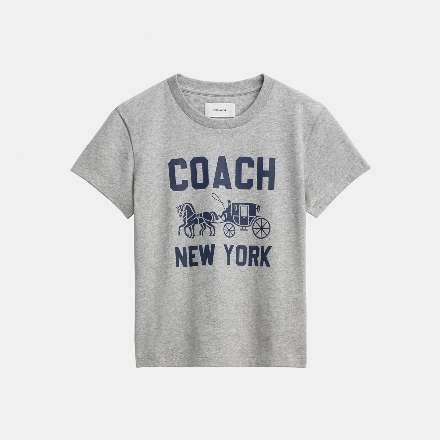 CBD21-Horse and Carriage T-Shirt in Organic Cotton-Heather Grey
