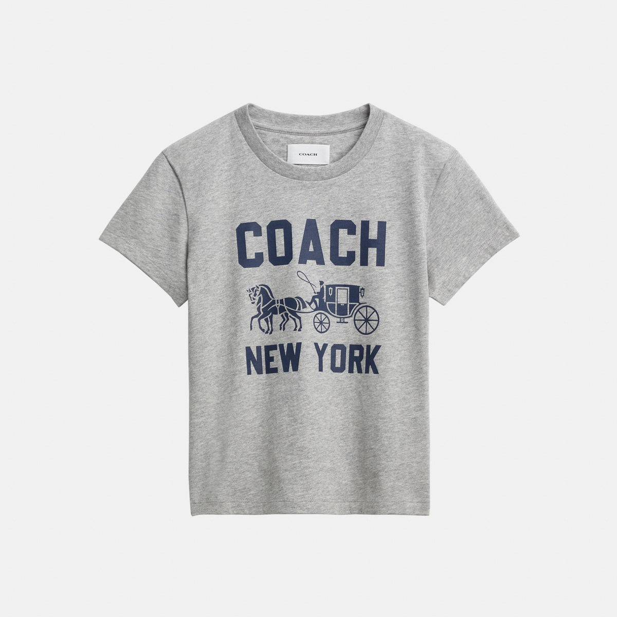 CBD21-Horse and Carriage T-Shirt in Organic Cotton-Heather Grey