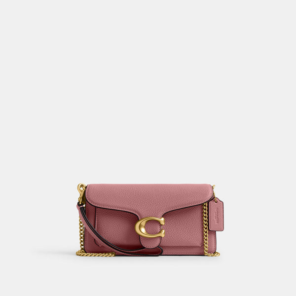 Tabby Chain Crossbody Bag 19