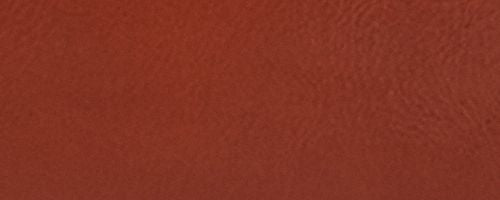 Im/Cinnamon