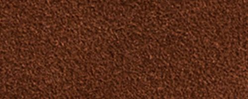 B4/Warm Brown