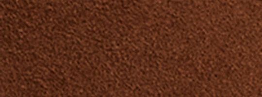 B4/Warm Brown