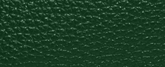 V5/Dark Pine