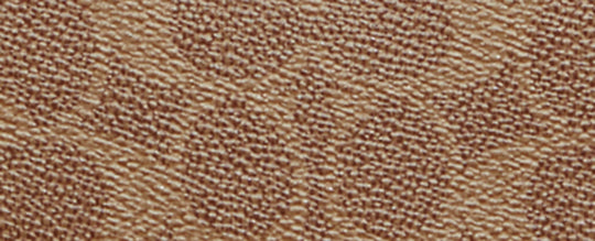 B4/Tan Rust