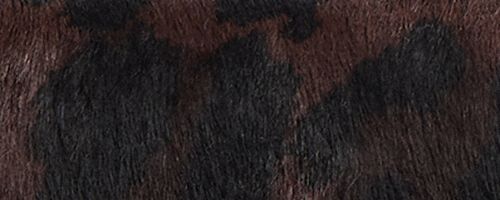 B4/Dark Leopard