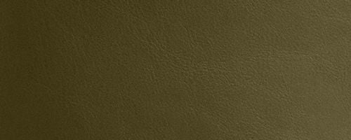 B4/Olive