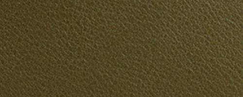B4/Olive