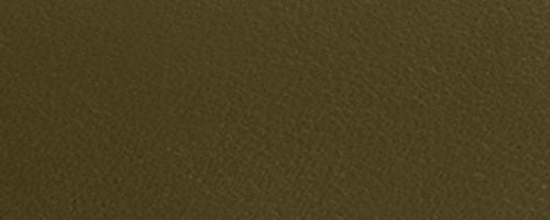 B4/Olive