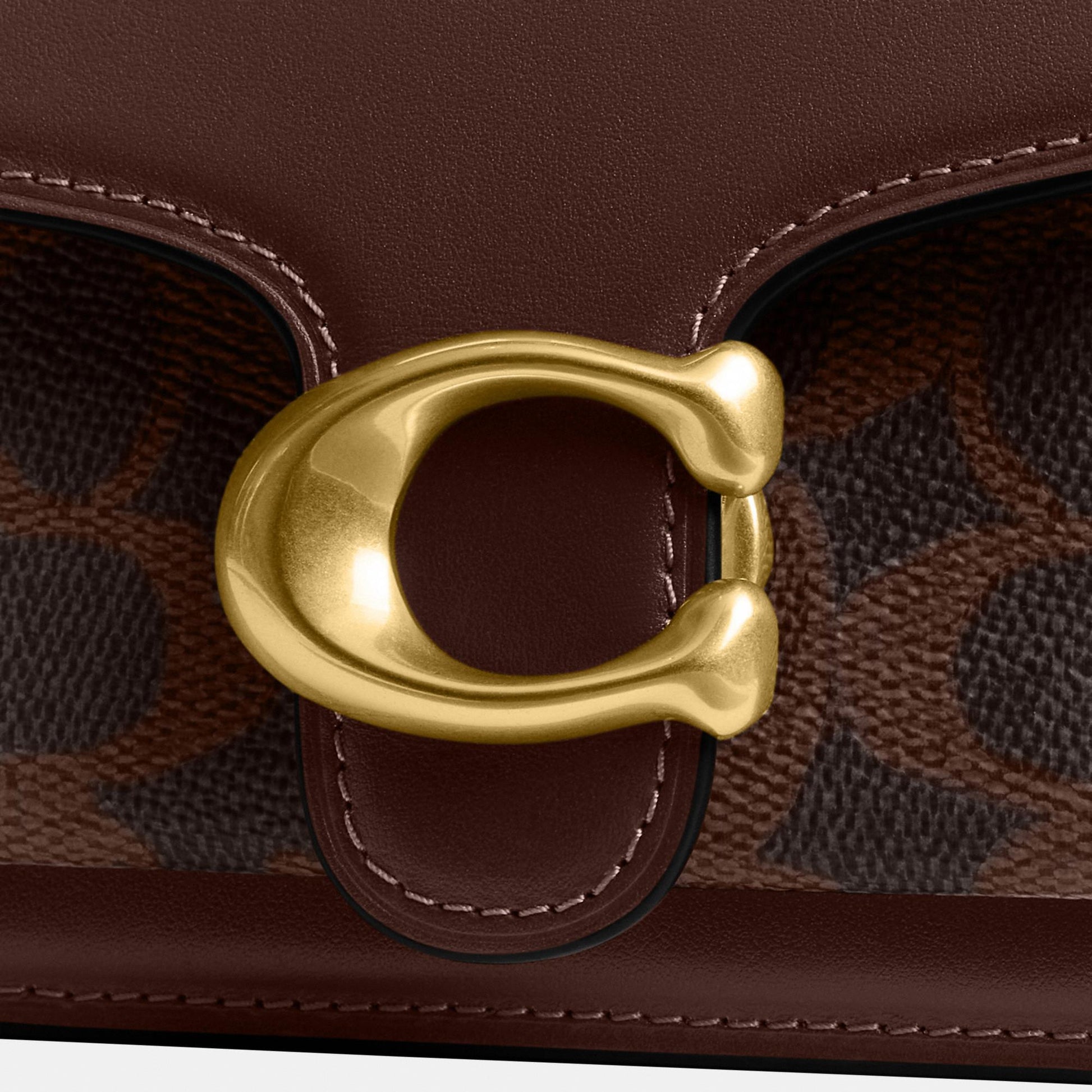 CCD26-Tabby Chain Crossbody Bag 19 in Signature Canvas-B4/Maple