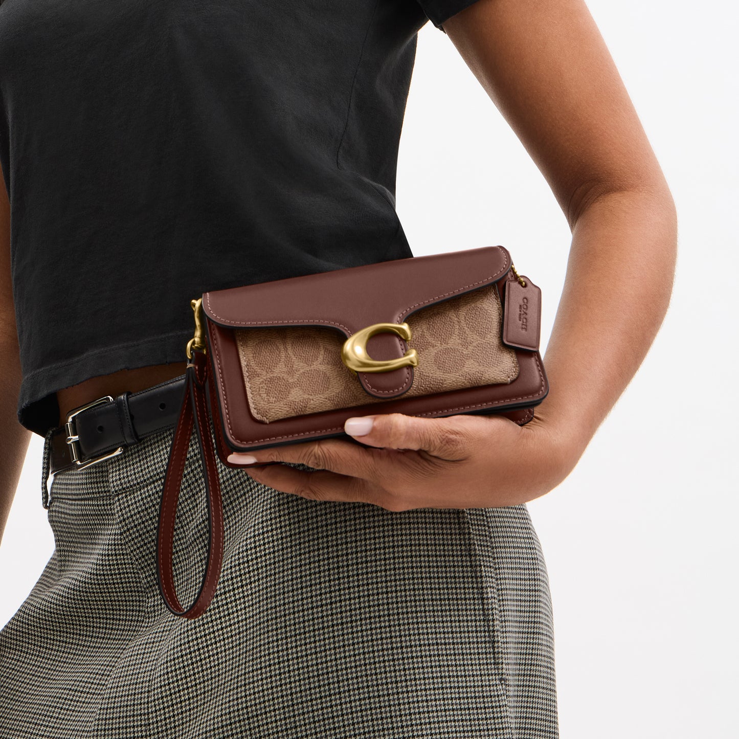 Tabby Chain Crossbody Bag 19 in Signature Canvas