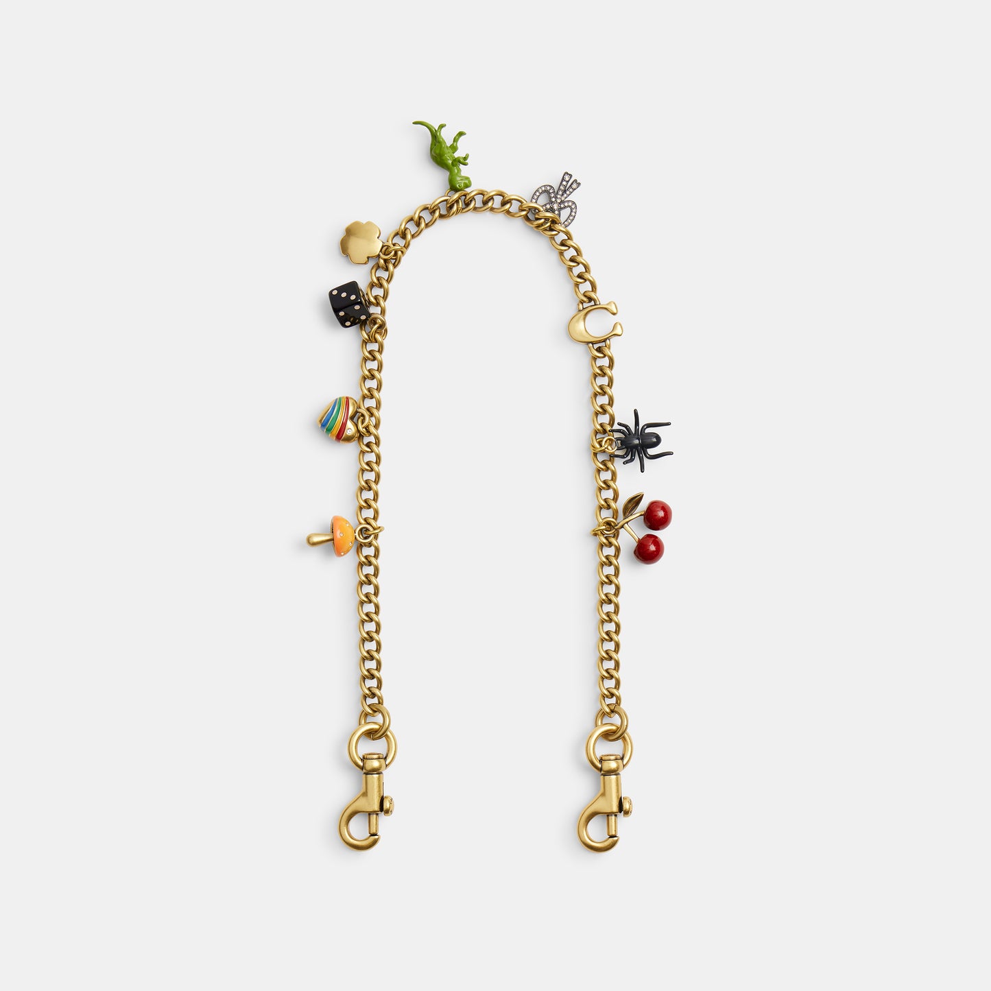 Chain Strap With Charms