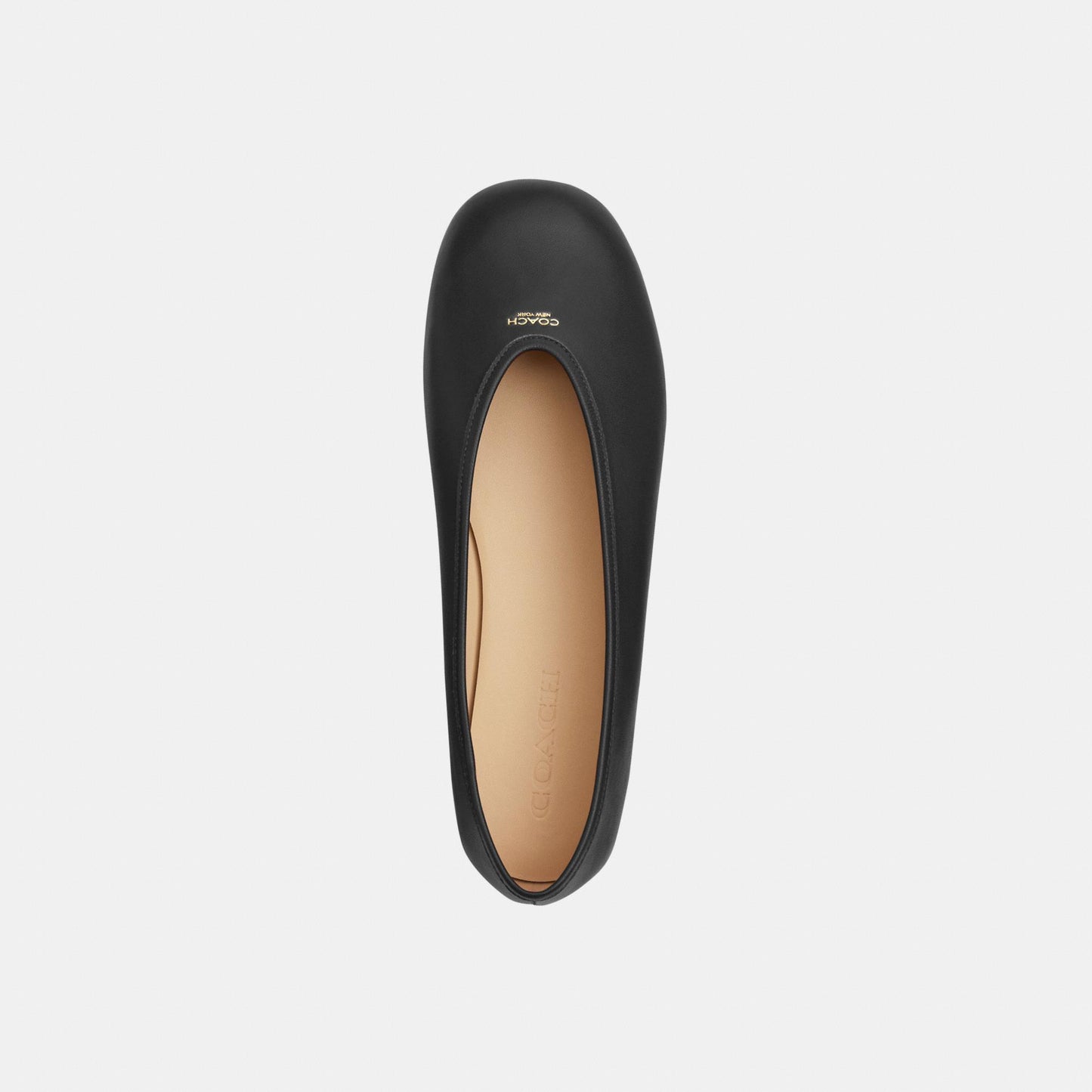 CCH74-Houston Ballet Flat-Black