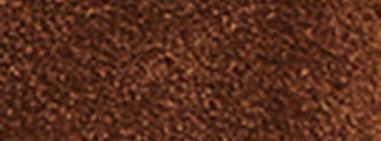 B4/Warm Brown