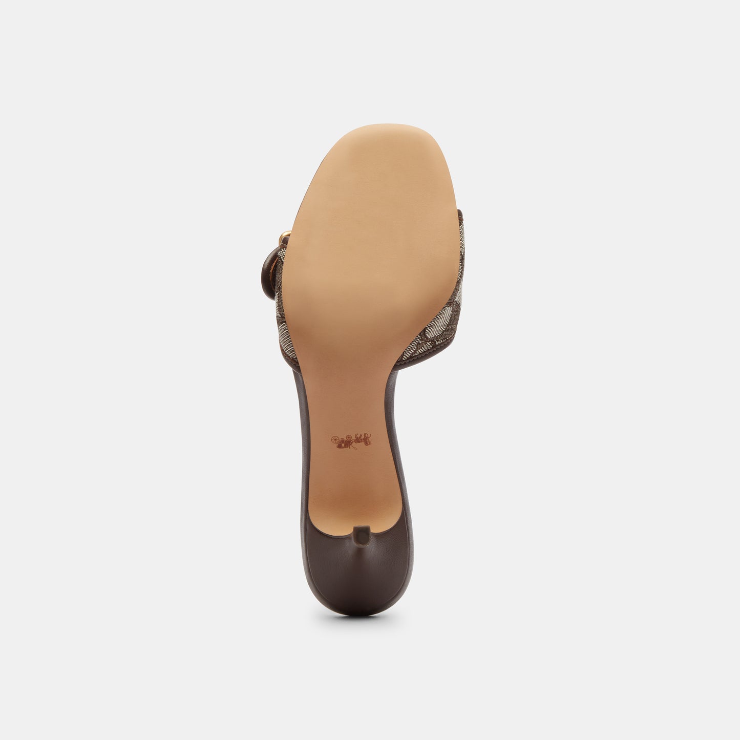 CCM10-Margot Sig Jqd-Oak/Maple