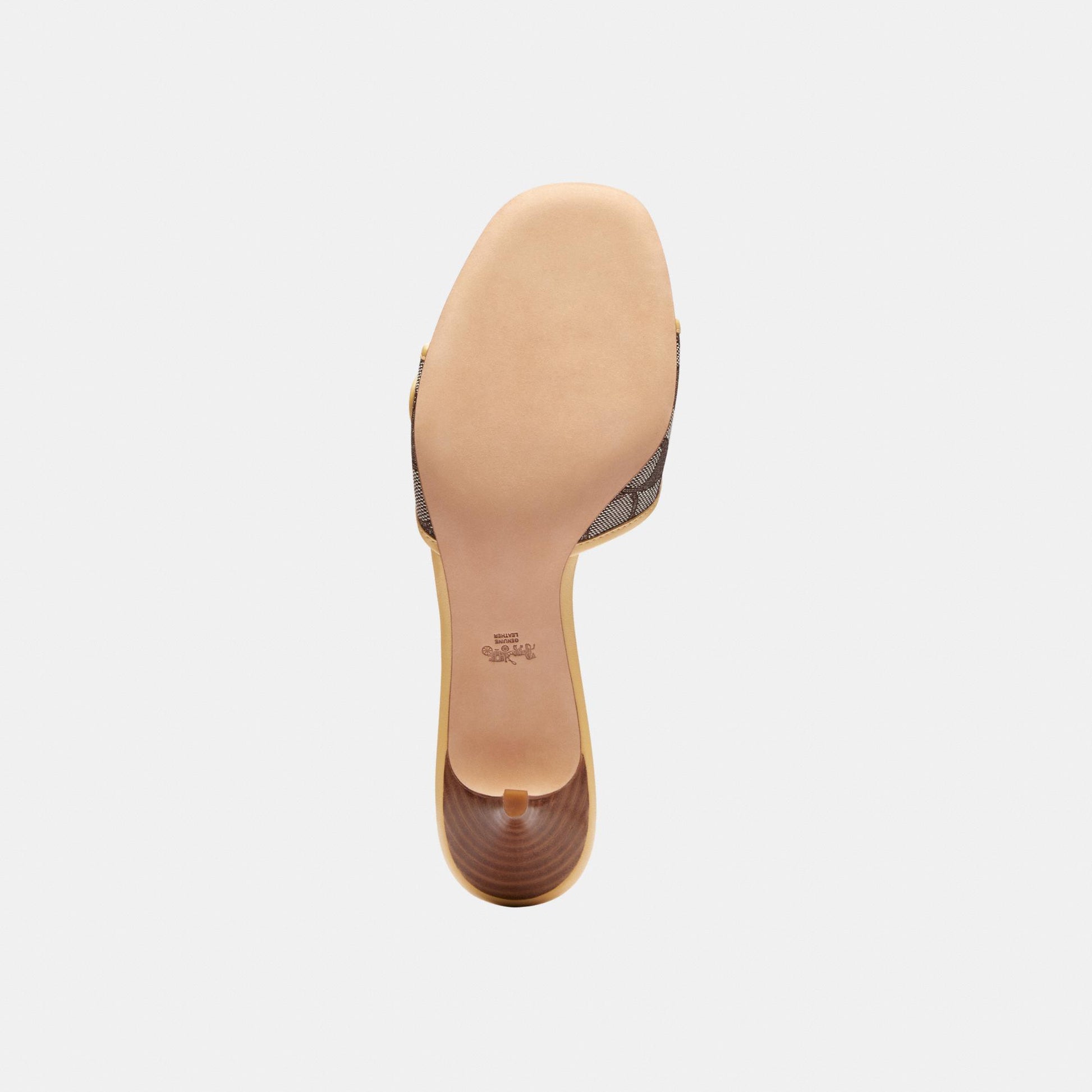 CCM10-Margot Sig Jqd-Oak/Vanilla