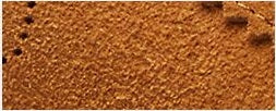 Shadow Brown