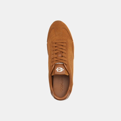 CCN30-Flat Sneaker-Shadow Brown
