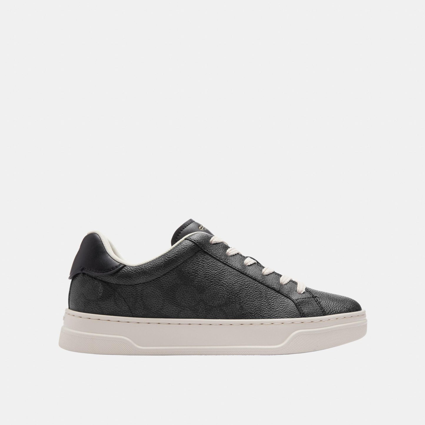 CCN67-High Line Sneaker in Signature Canvas-Charcoal/Black