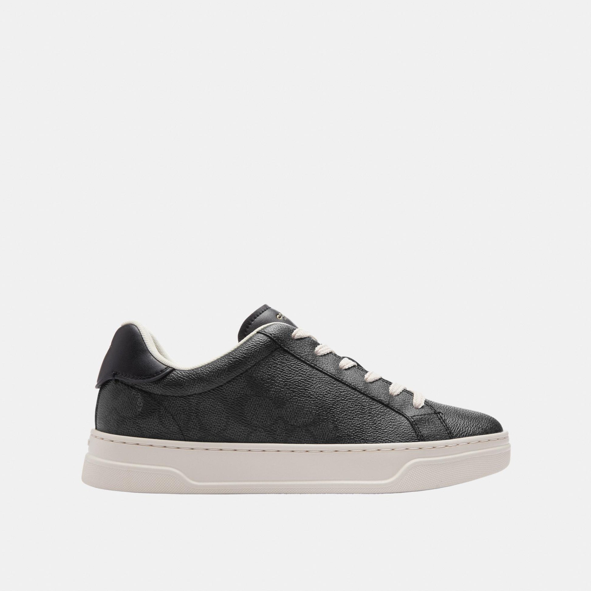 CCN67-High Line Sneaker in Signature Canvas-Charcoal/Black