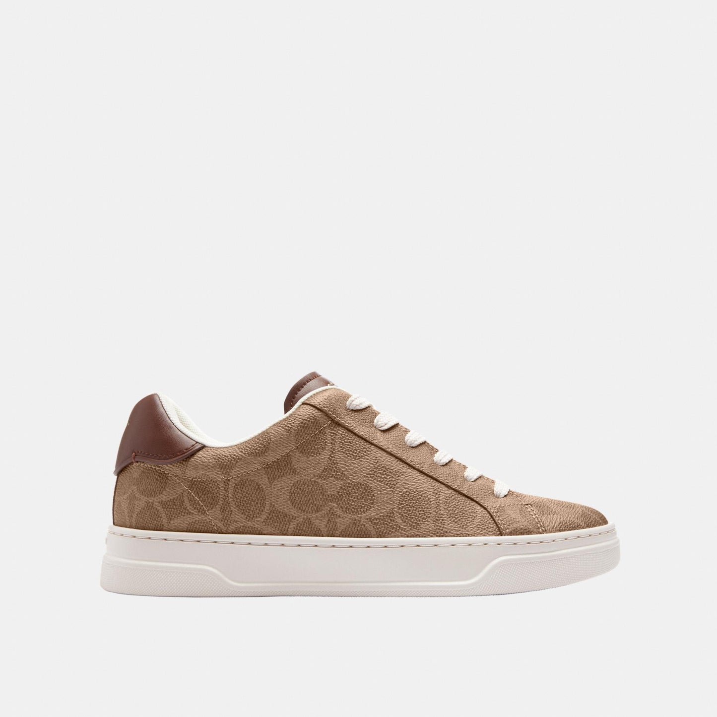 CCN67-High Line Sneaker in Signature Canvas-Brown Khaki
