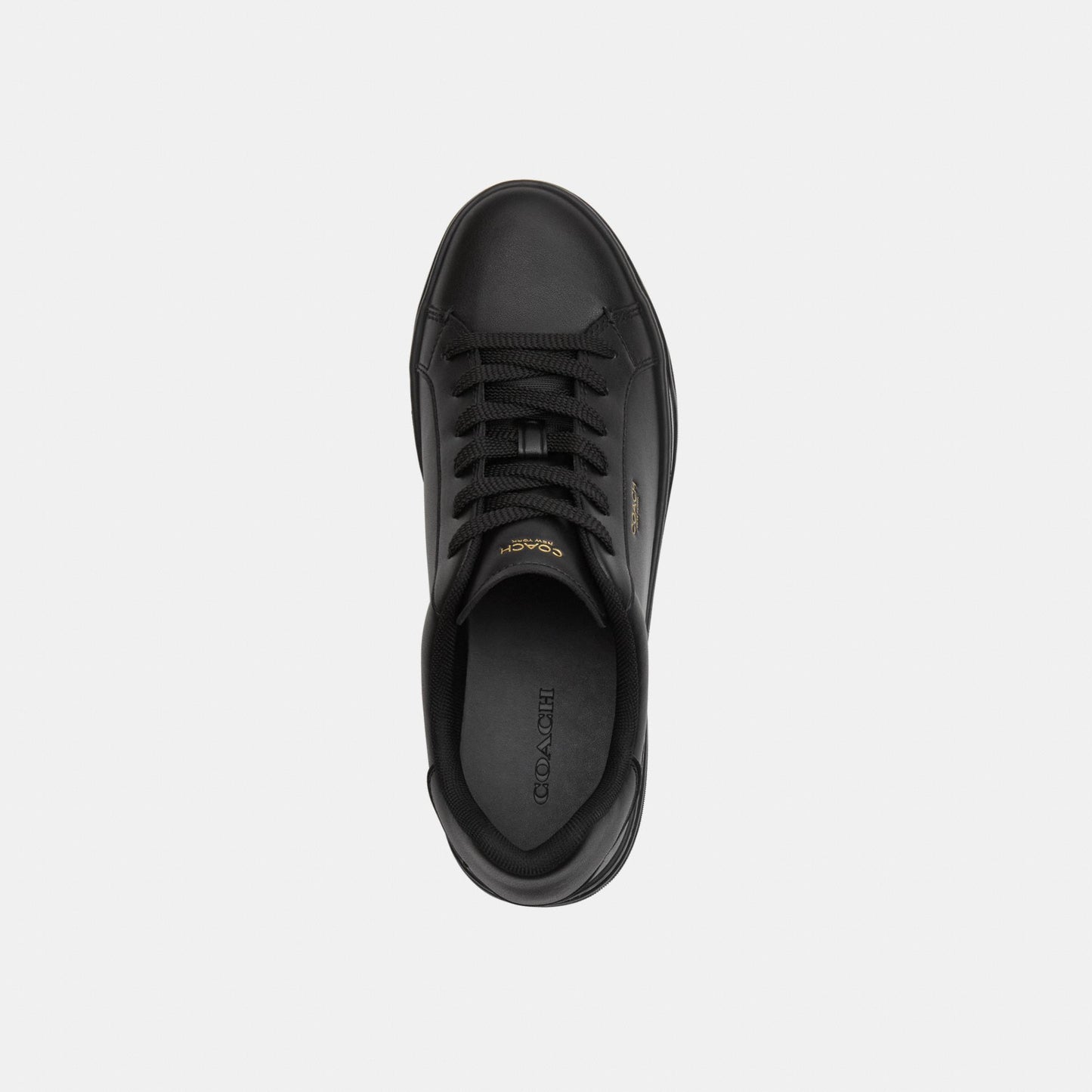 CCN68-High Line Sneaker-Black/Black