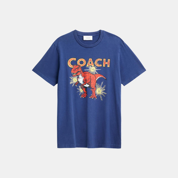 Garment Washed Dinosaur T-Shirt In Organic Cotton