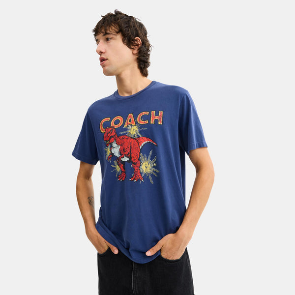 Garment Washed Dinosaur T-Shirt In Organic Cotton