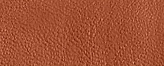 B4/Amber Brown