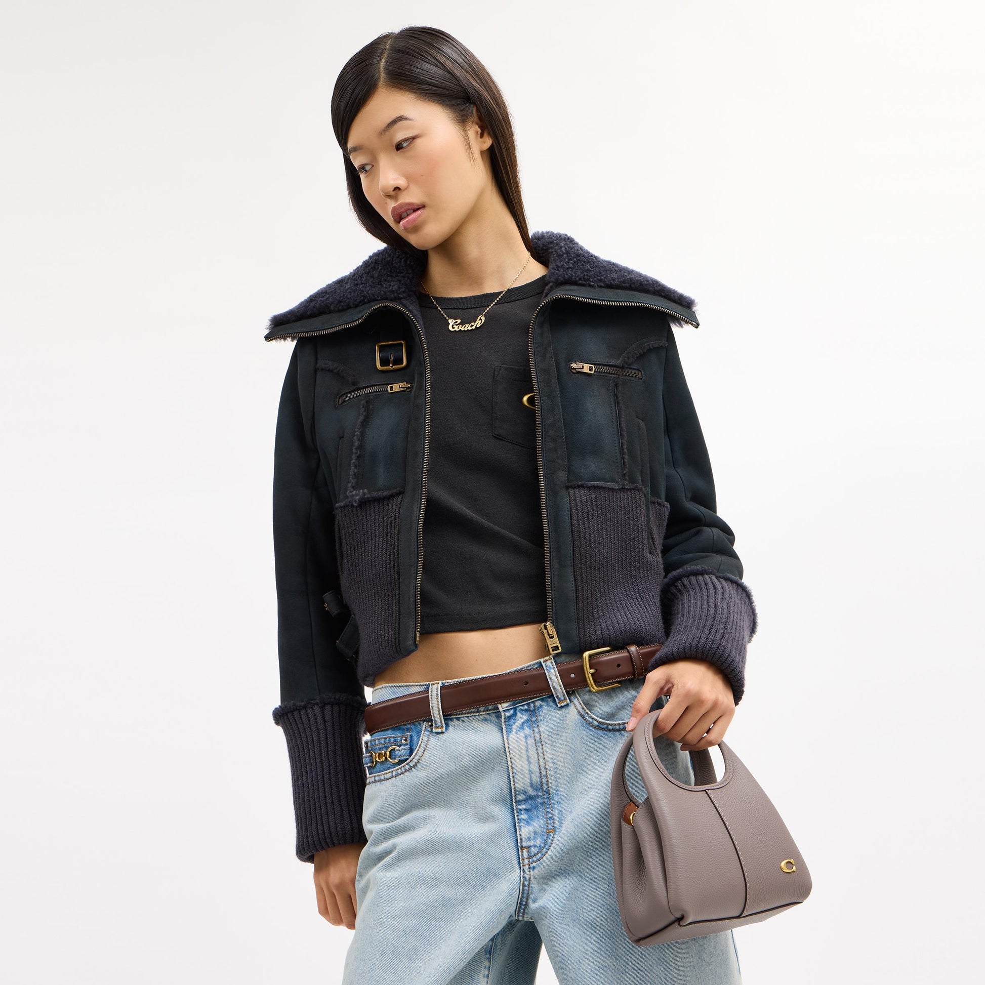 CCY32-Pp Lana 19-B4/Ash