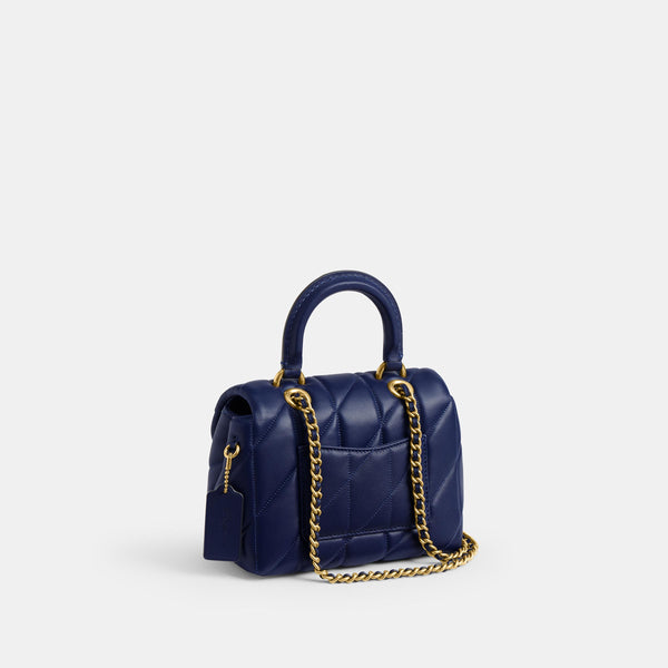 Qlt L Tabby Th Pve C