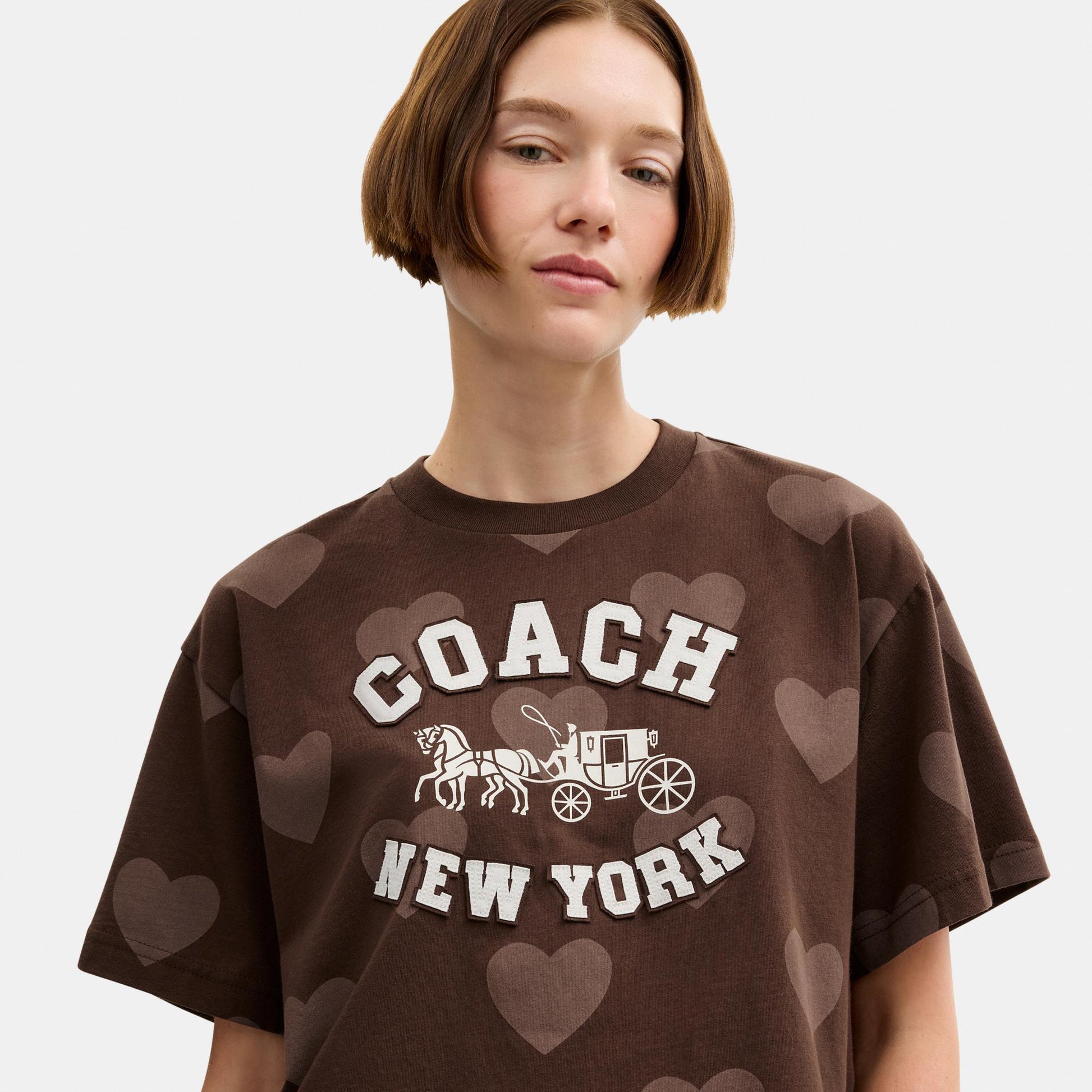 CDI34-Cropped Horse and Carriage Heart T Shirt-Brown