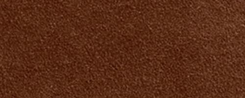 B4/Warm Brown