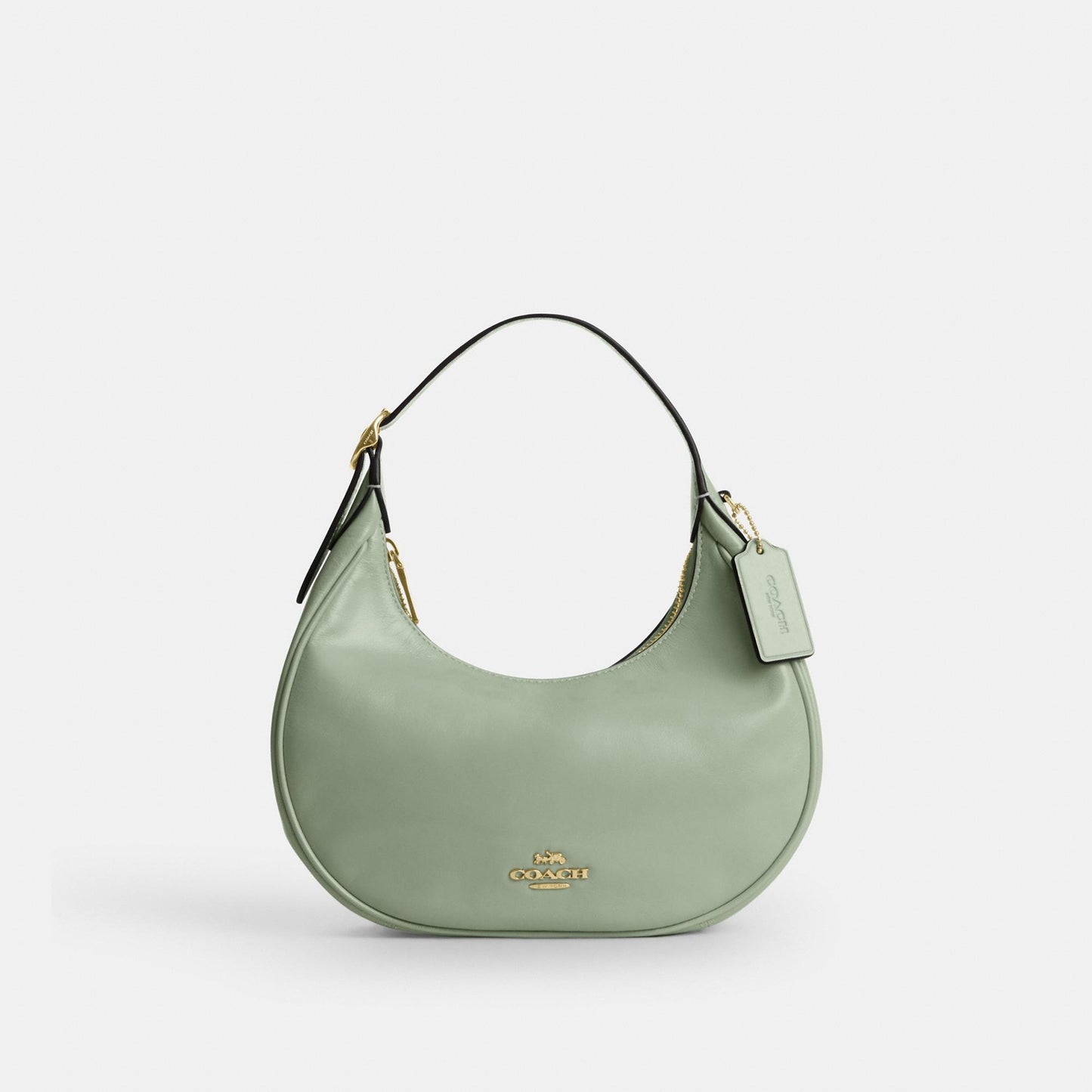 CDX24-Emily Mini Shoulder Bag in Glazed Leather-Im/Light Pistachio