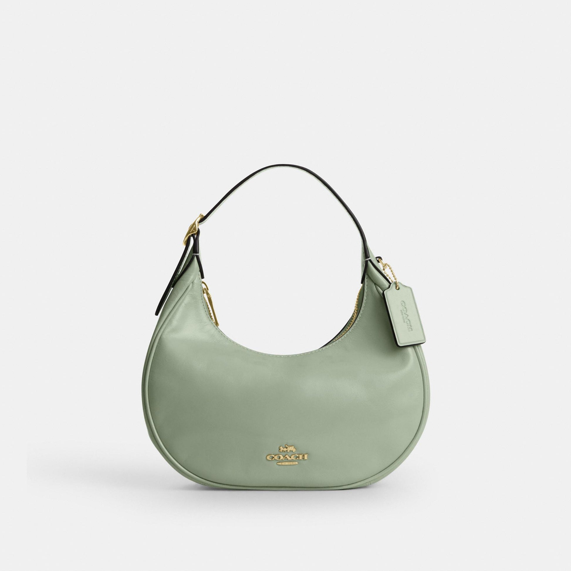 CDX24-Emily Mini Shoulder Bag in Glazed Leather-Im/Light Pistachio