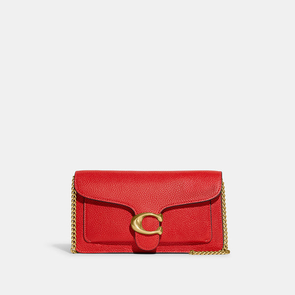Tabby Chain Clutch