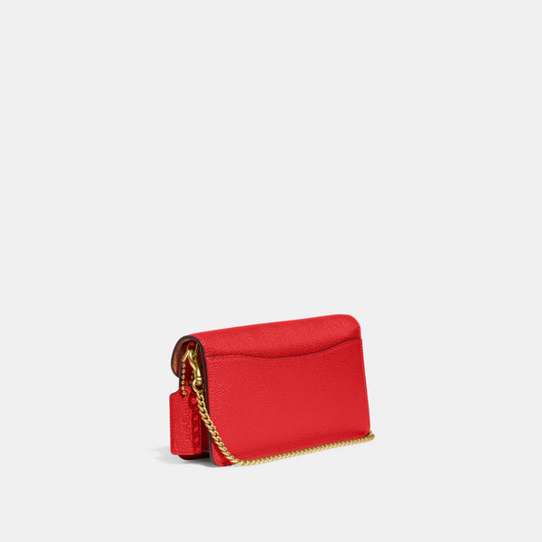 Tabby Chain Clutch