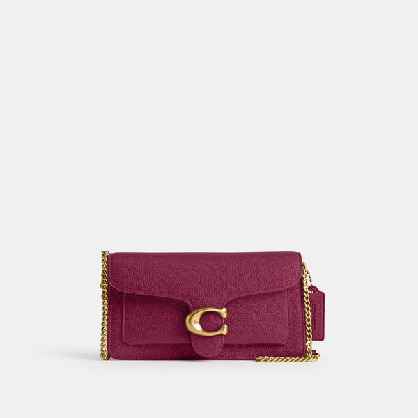 Tabby Chain Clutch