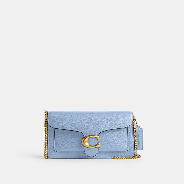 Tabby Chain Clutch