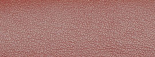 B4/Tan Rust