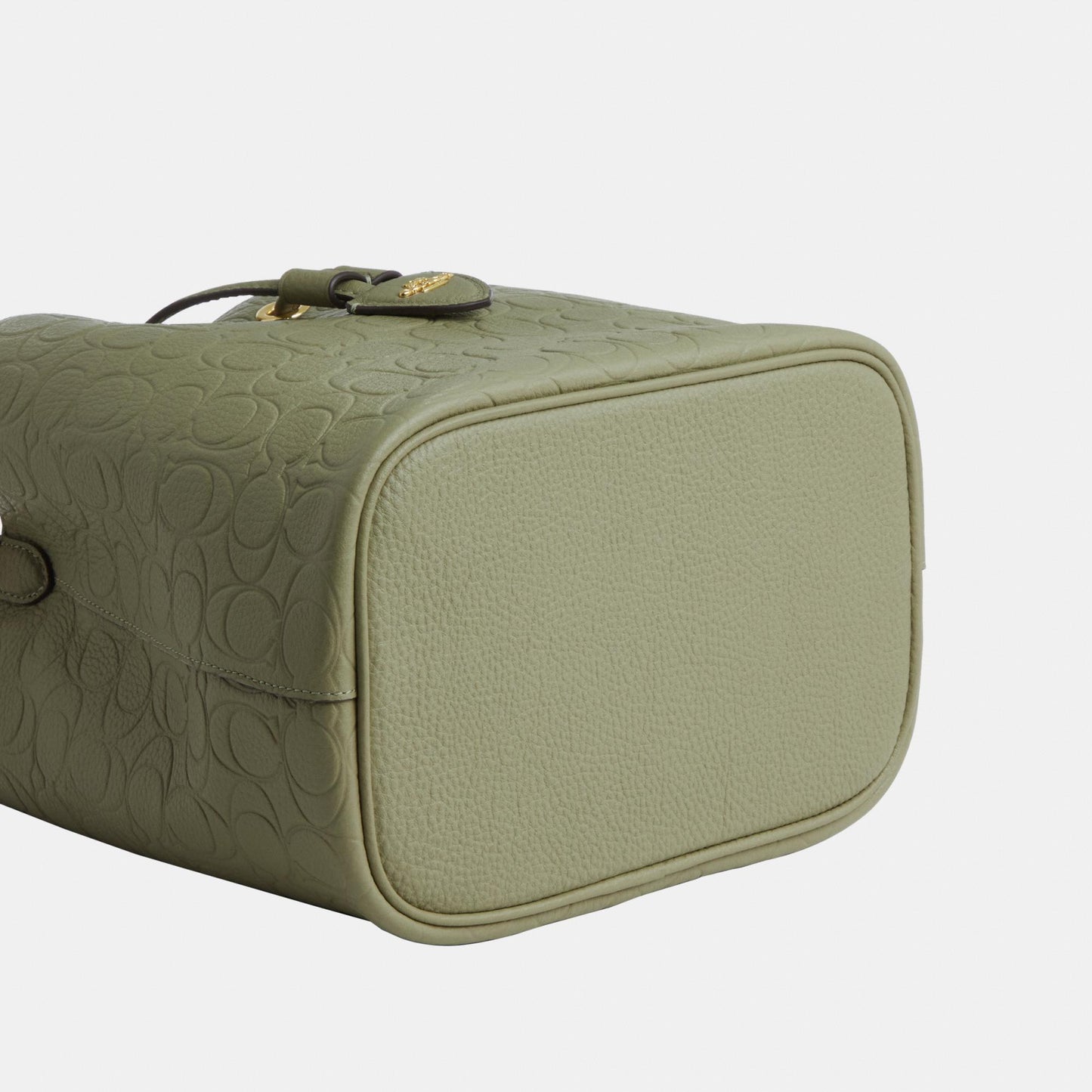 CEA96-Rowan Bucket Bag in Signature Pebbled Leather-Im/Pistachio