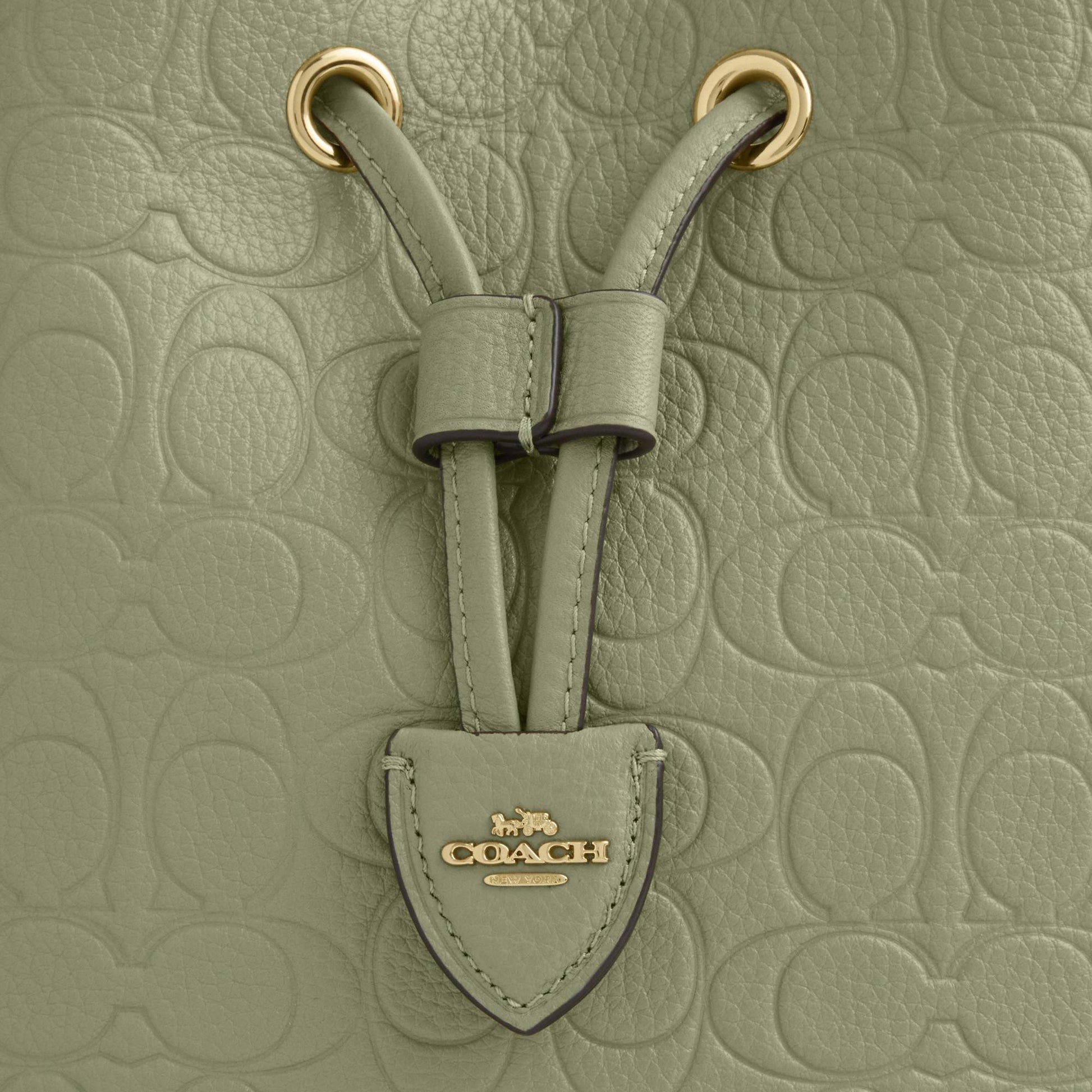 CEA96-Rowan Bucket Bag in Signature Pebbled Leather-Im/Pistachio