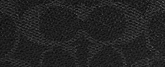 Black Signature