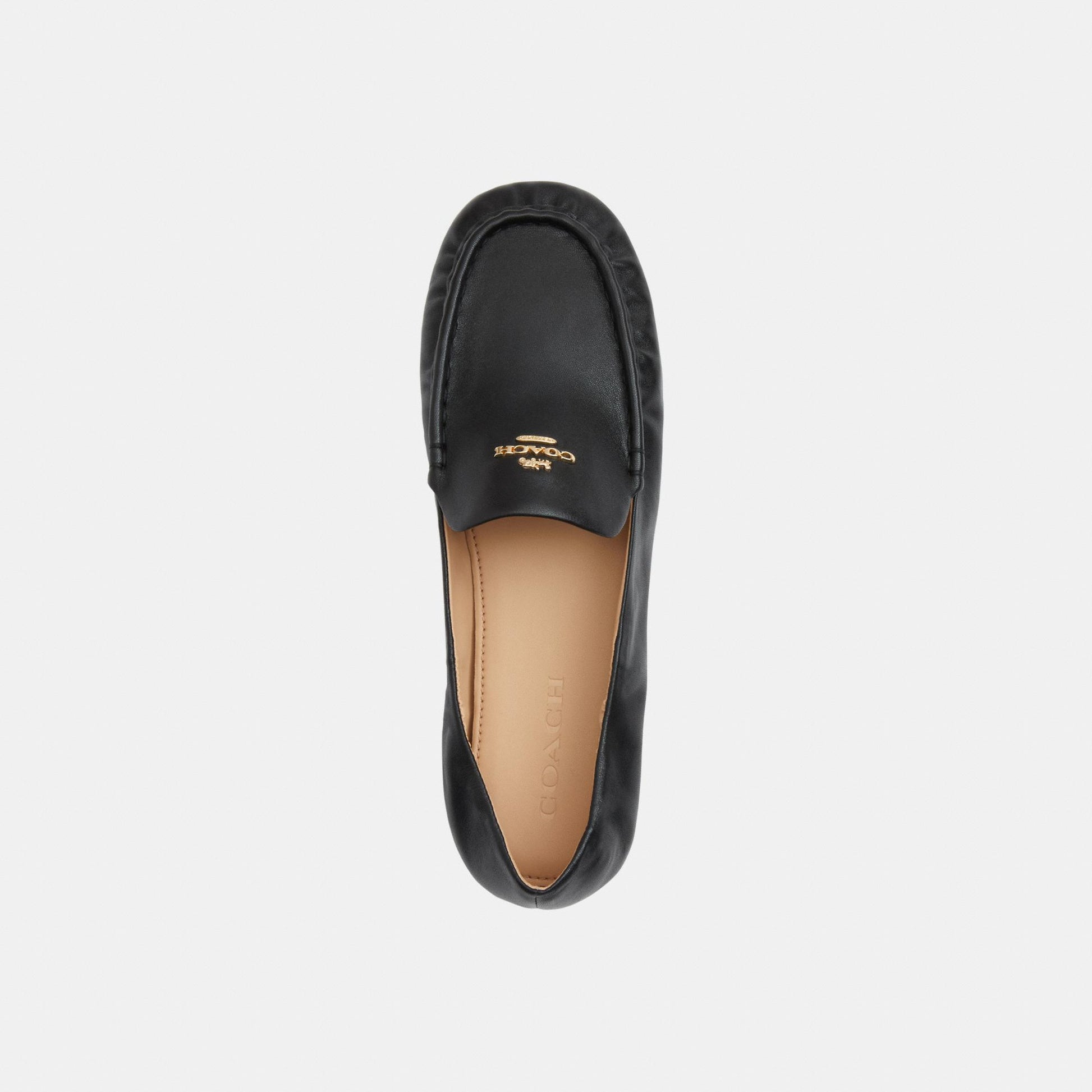 CEE81-Phoebe Soft Loafer-Black