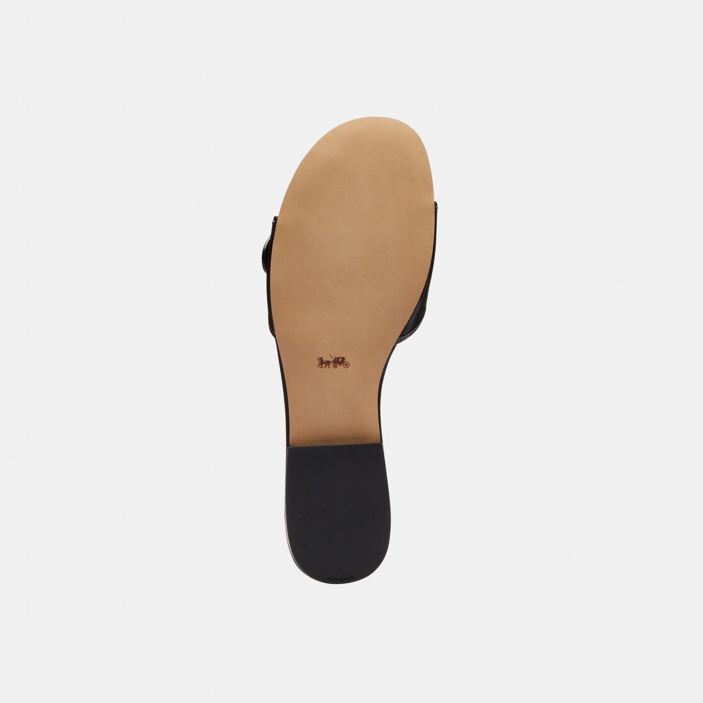 CEF11-Margot Leather Flat Sandal-Black