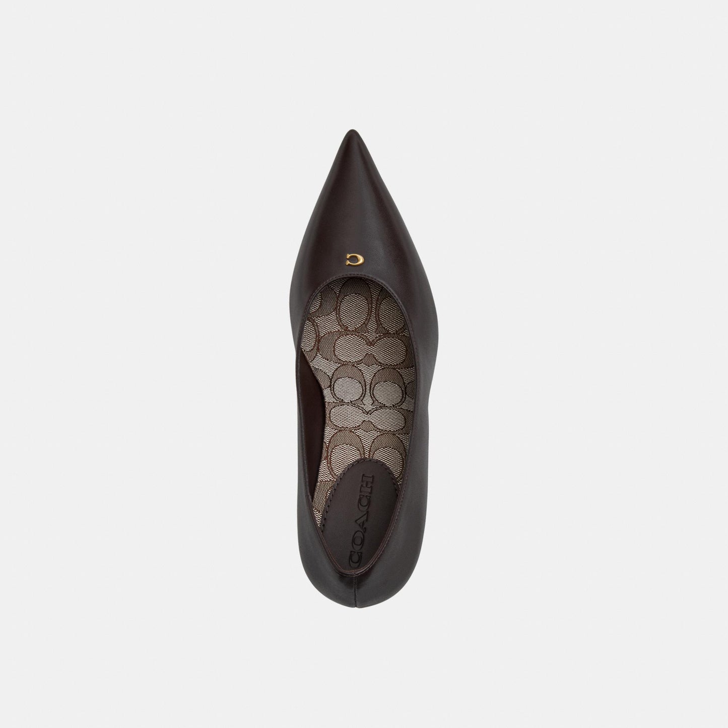 CEG81-Daisy Pump-Chocolate