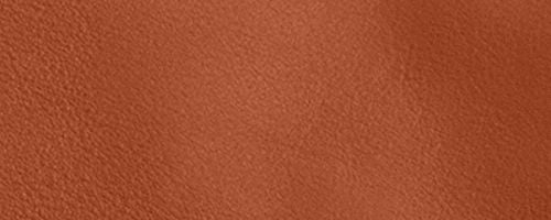 B4/Amber Brown