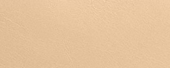 Sv/Light Sand