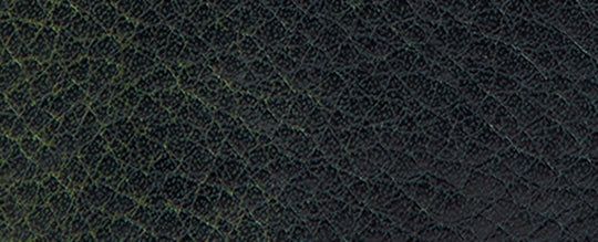 Navy/Green