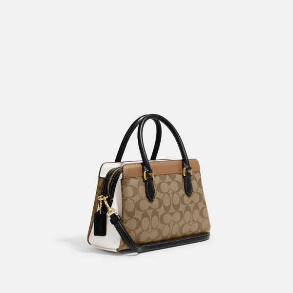 Mini Darcie Carryall In Colorblock Signature Canvas